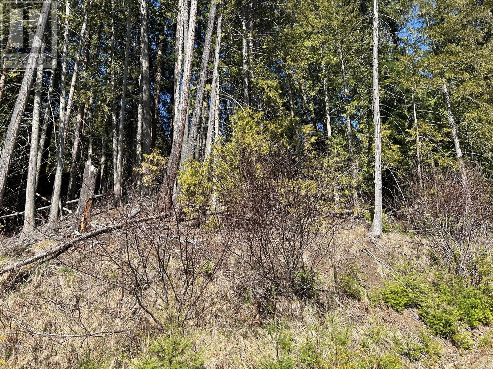 7416 3a Highway, Balfour, British Columbia  V1L 7E9 - Photo 20 - 10342217