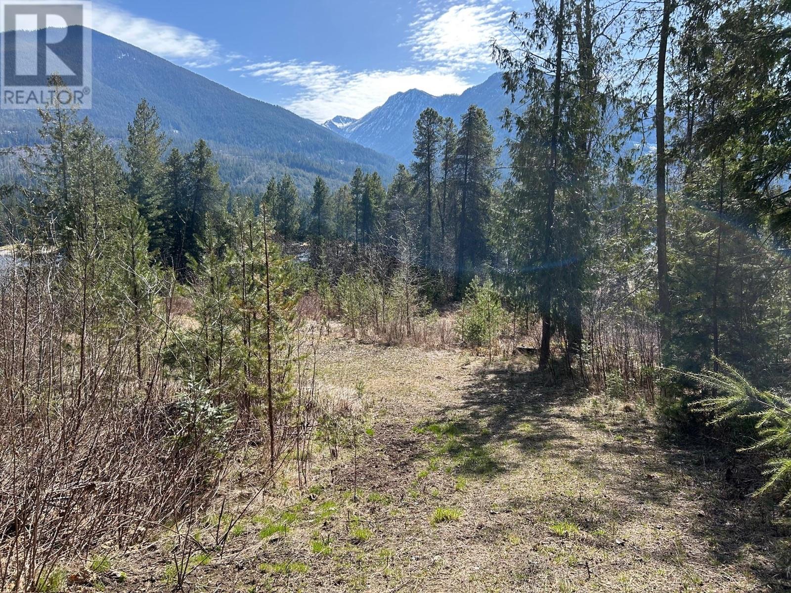 7416 3a Highway, Balfour, British Columbia  V1L 7E9 - Photo 21 - 10342217