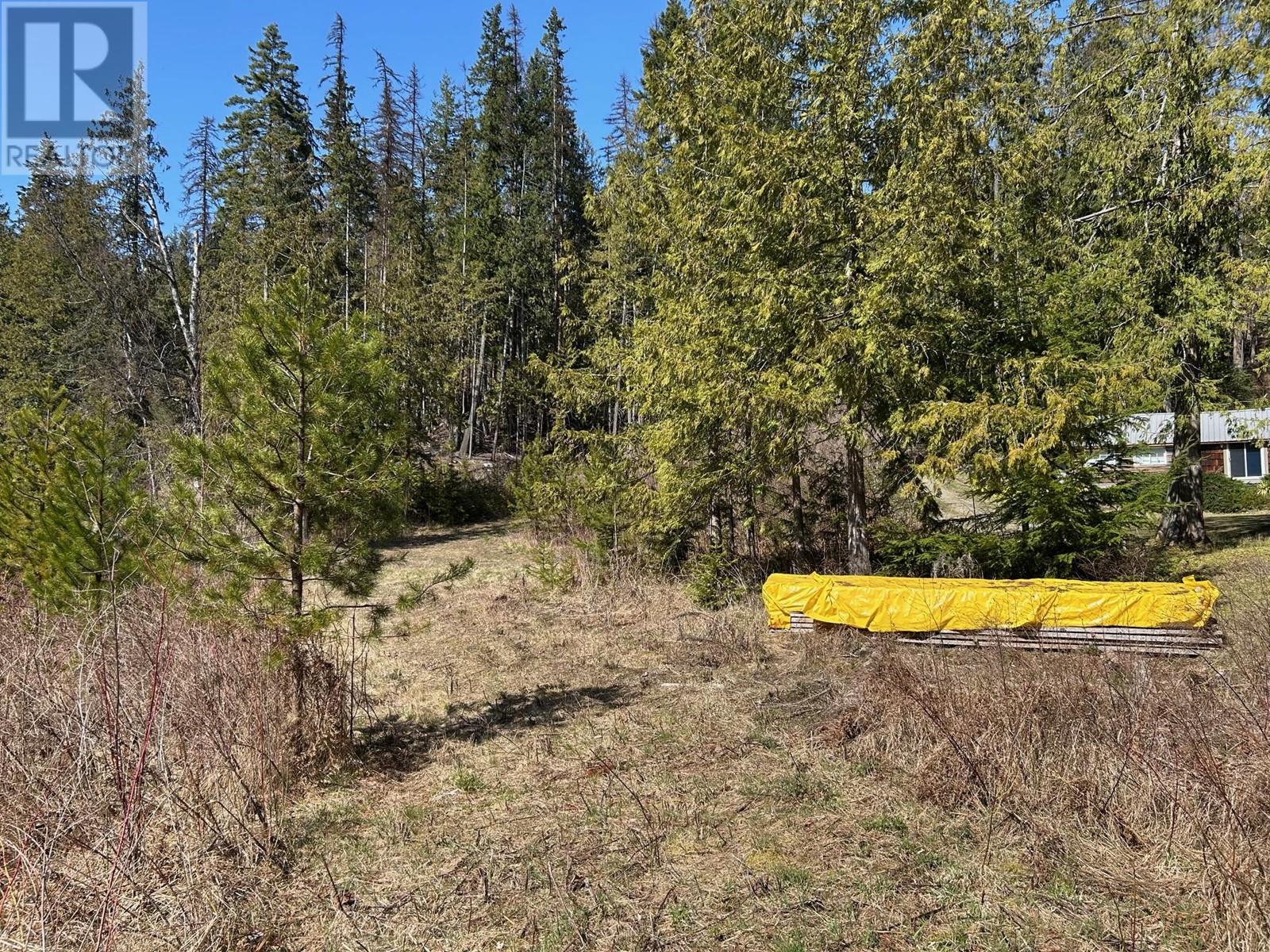 7416 3a Highway, Balfour, British Columbia  V1L 7E9 - Photo 24 - 10342217