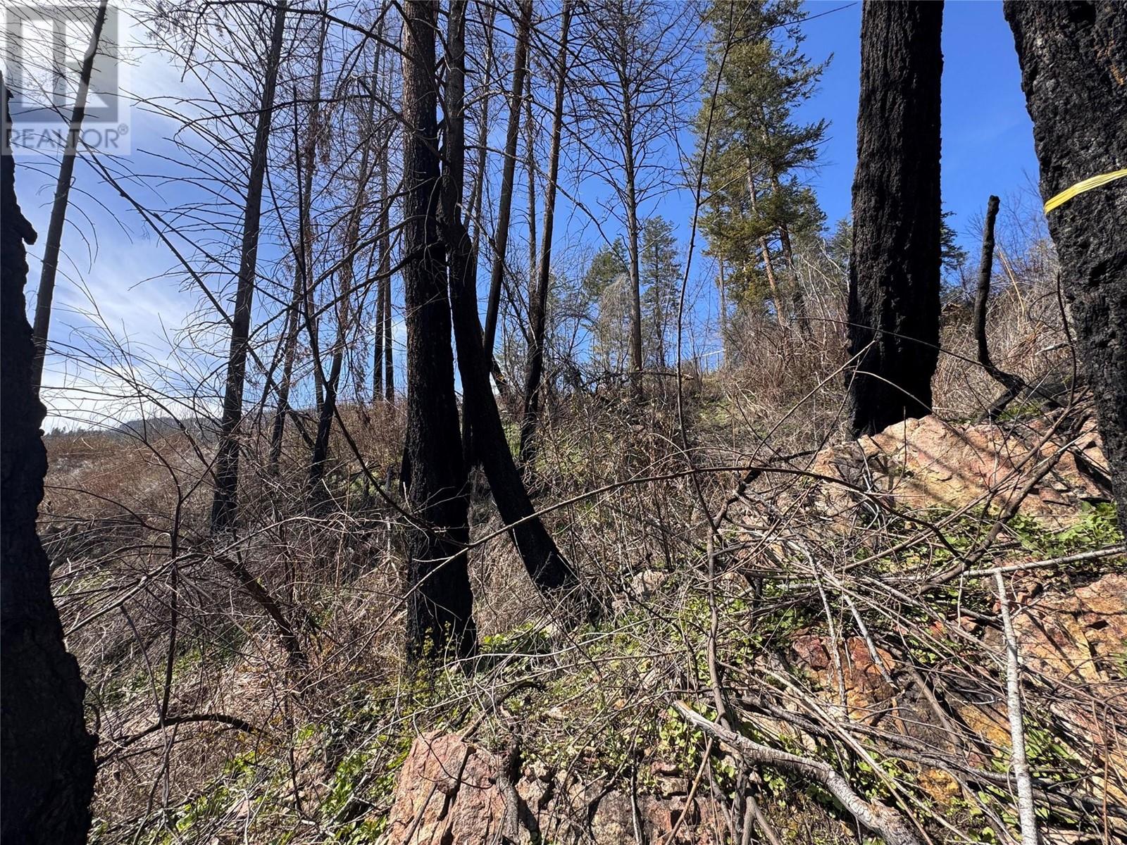 Lot 25 Hodges Road, Vernon, British Columbia  V1H 2G4 - Photo 13 - 10342268