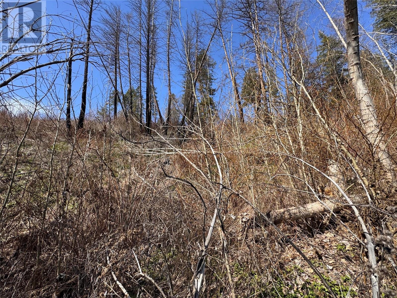 Lot 25 Hodges Road, Vernon, British Columbia  V1H 2G4 - Photo 14 - 10342268