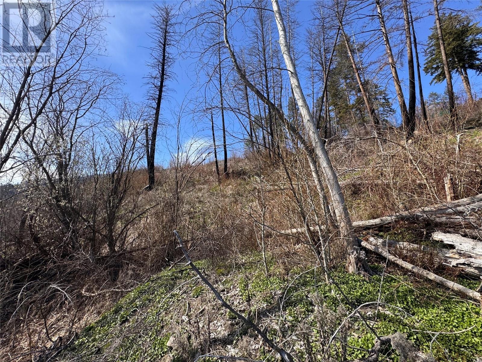 Lot 25 Hodges Road, Vernon, British Columbia  V1H 2G4 - Photo 17 - 10342268