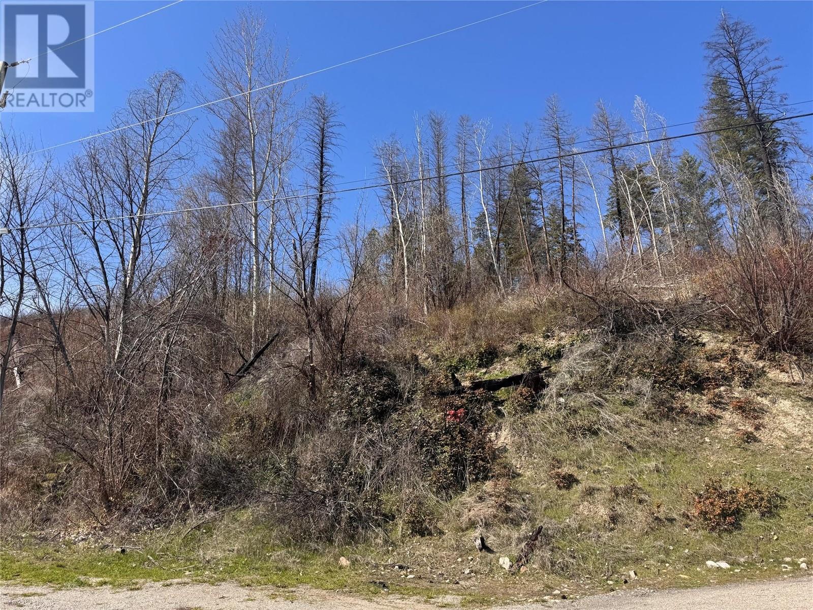 Lot 25 Hodges Road, Vernon, British Columbia  V1H 2G4 - Photo 18 - 10342268