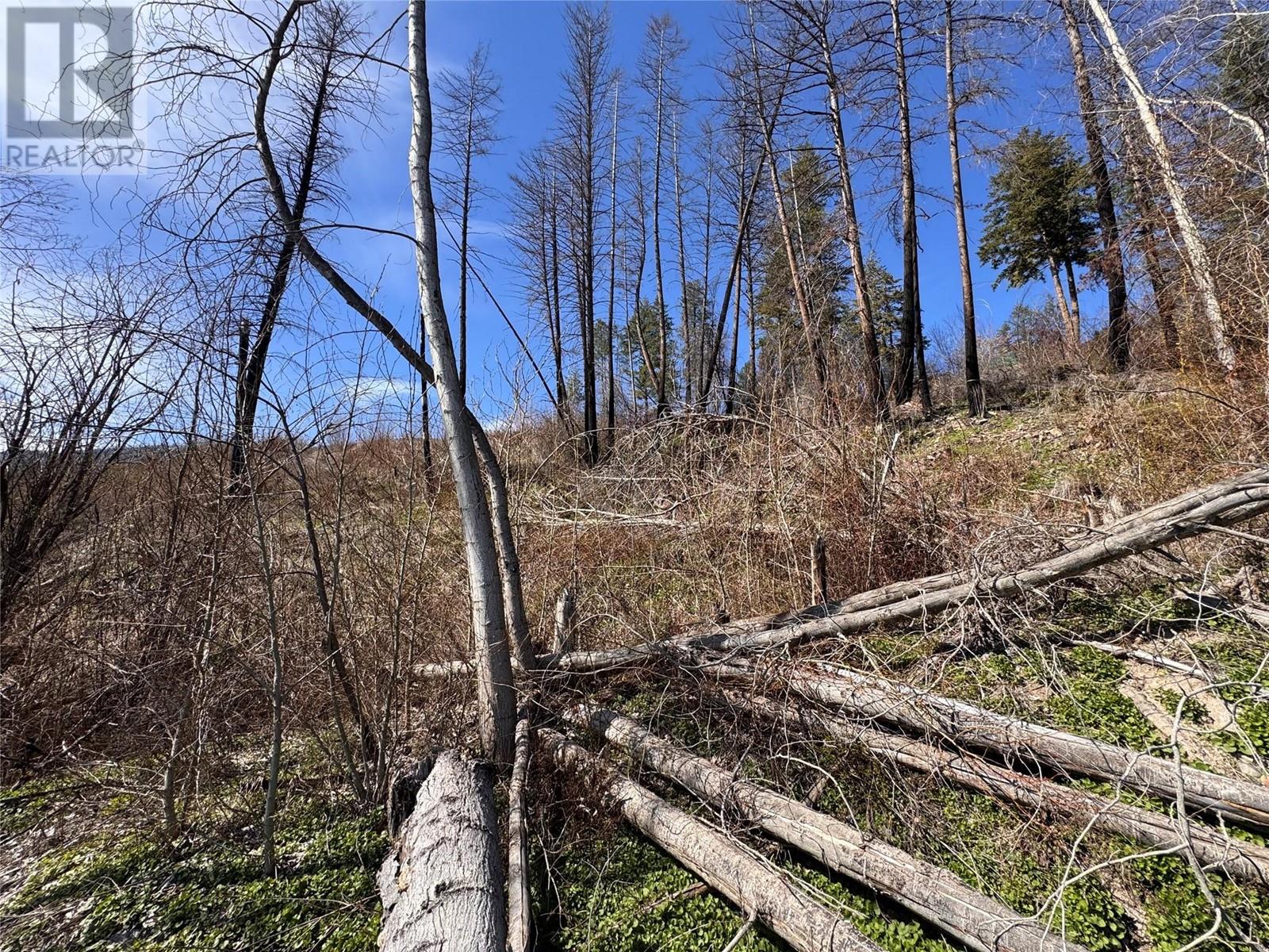 Lot 25 Hodges Road, Vernon, British Columbia  V1H 2G4 - Photo 4 - 10342268