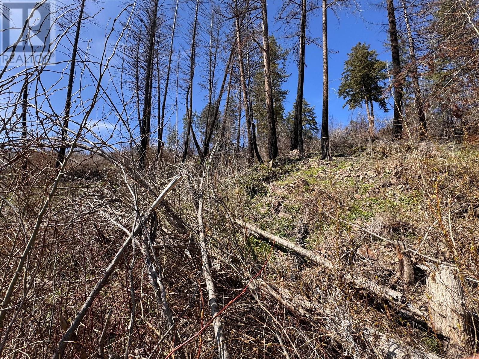 Lot 25 Hodges Road, Vernon, British Columbia  V1H 2G4 - Photo 6 - 10342268