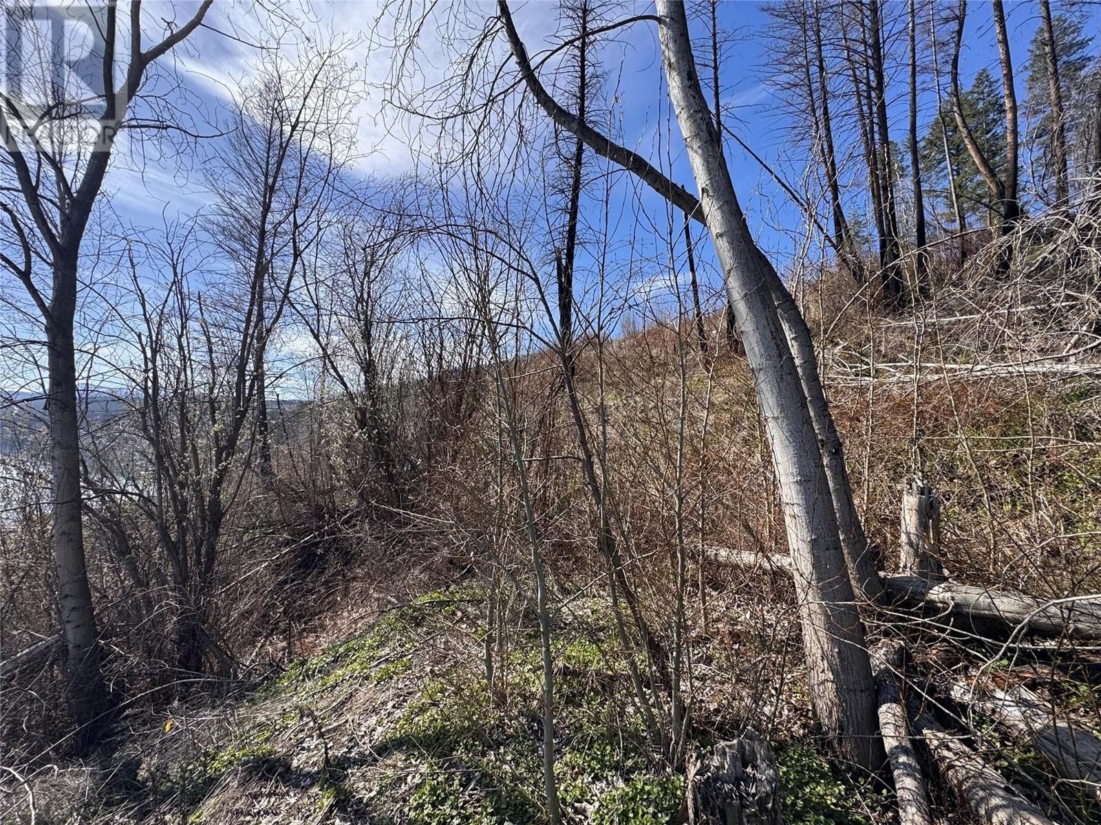 Lot 25 Hodges Road, Vernon, British Columbia  V1H 2G4 - Photo 8 - 10342268