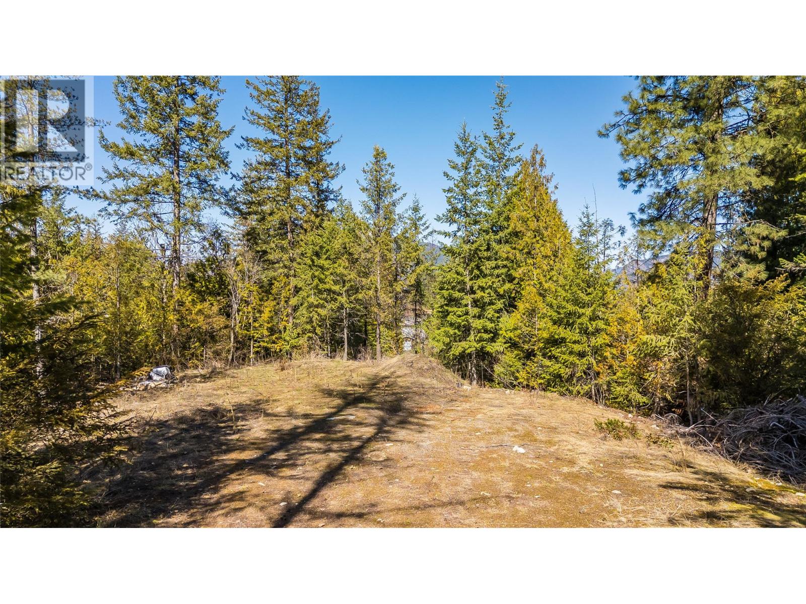 1428 Meadowbrook Drive, Castlegar, British Columbia  V1N 3L9 - Photo 7 - 10342477