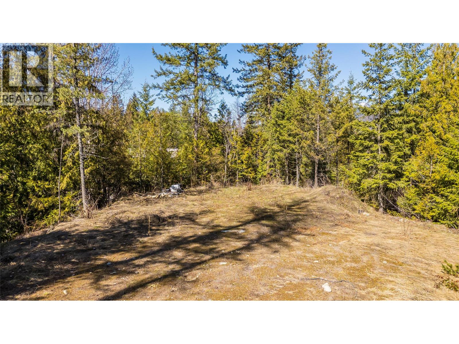 1428 Meadowbrook Drive, Castlegar, British Columbia  V1N 3L9 - Photo 8 - 10342477