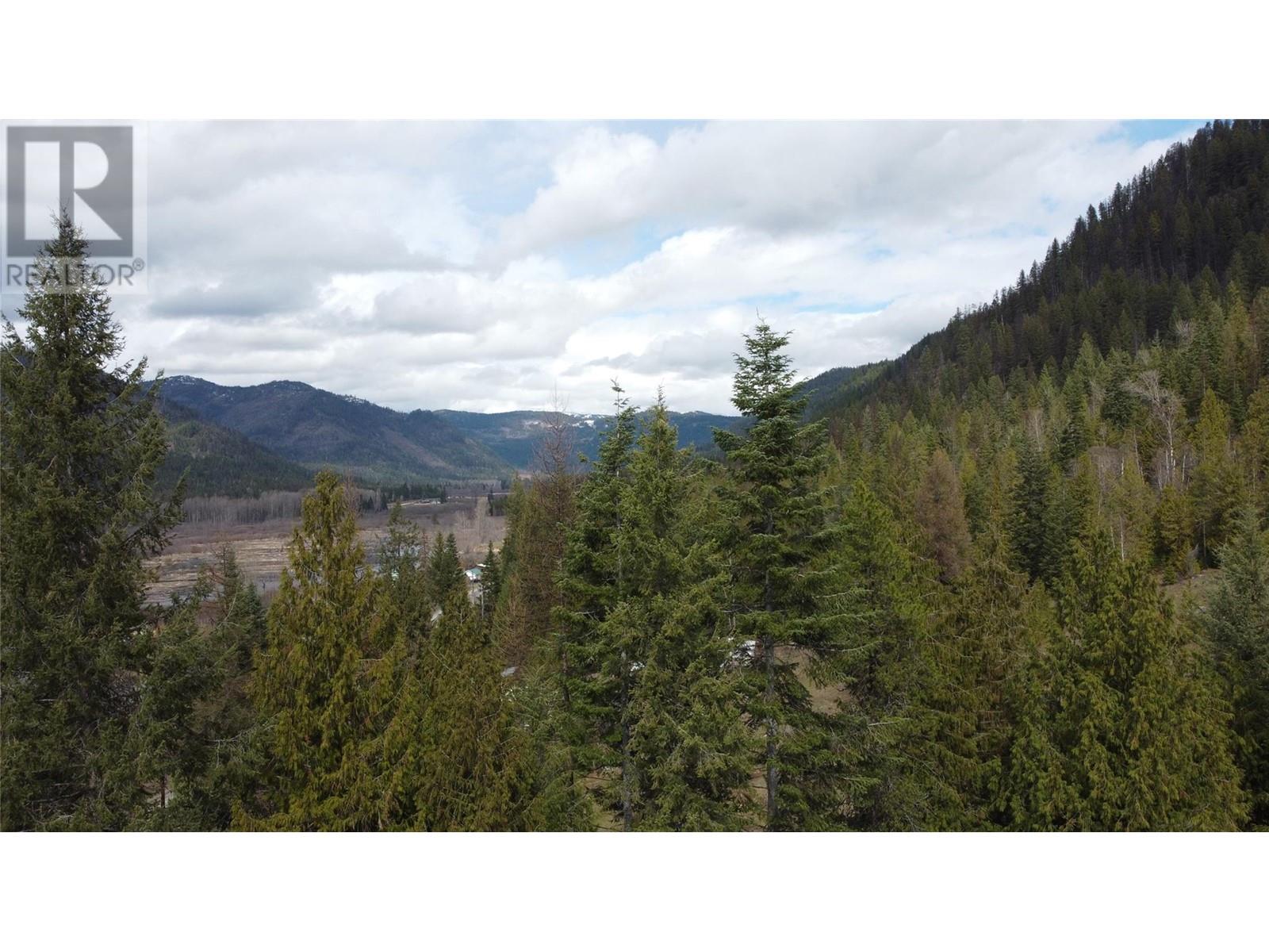 2300 Old Salmo Road, Fruitvale, British Columbia  V0G 1L0 - Photo 81 - 10342544