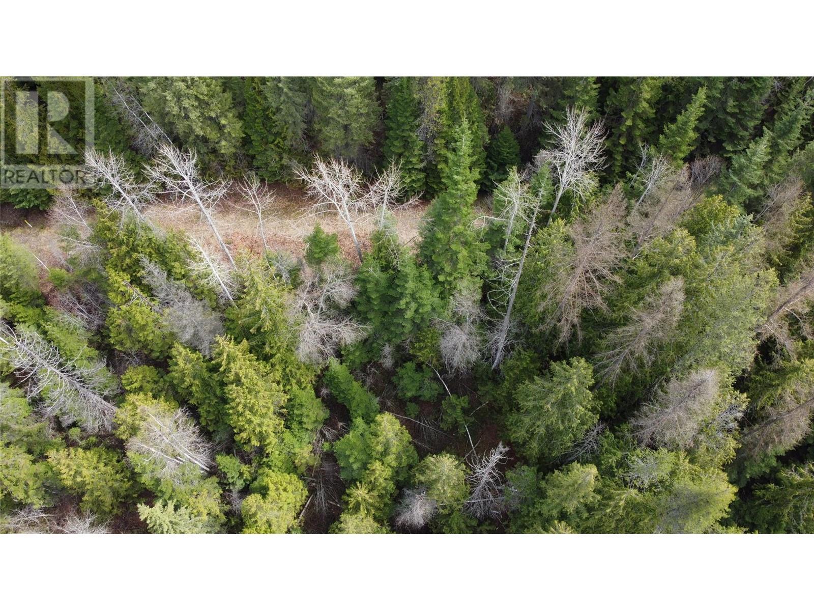 2300 Old Salmo Road, Fruitvale, British Columbia  V0G 1L0 - Photo 85 - 10342544