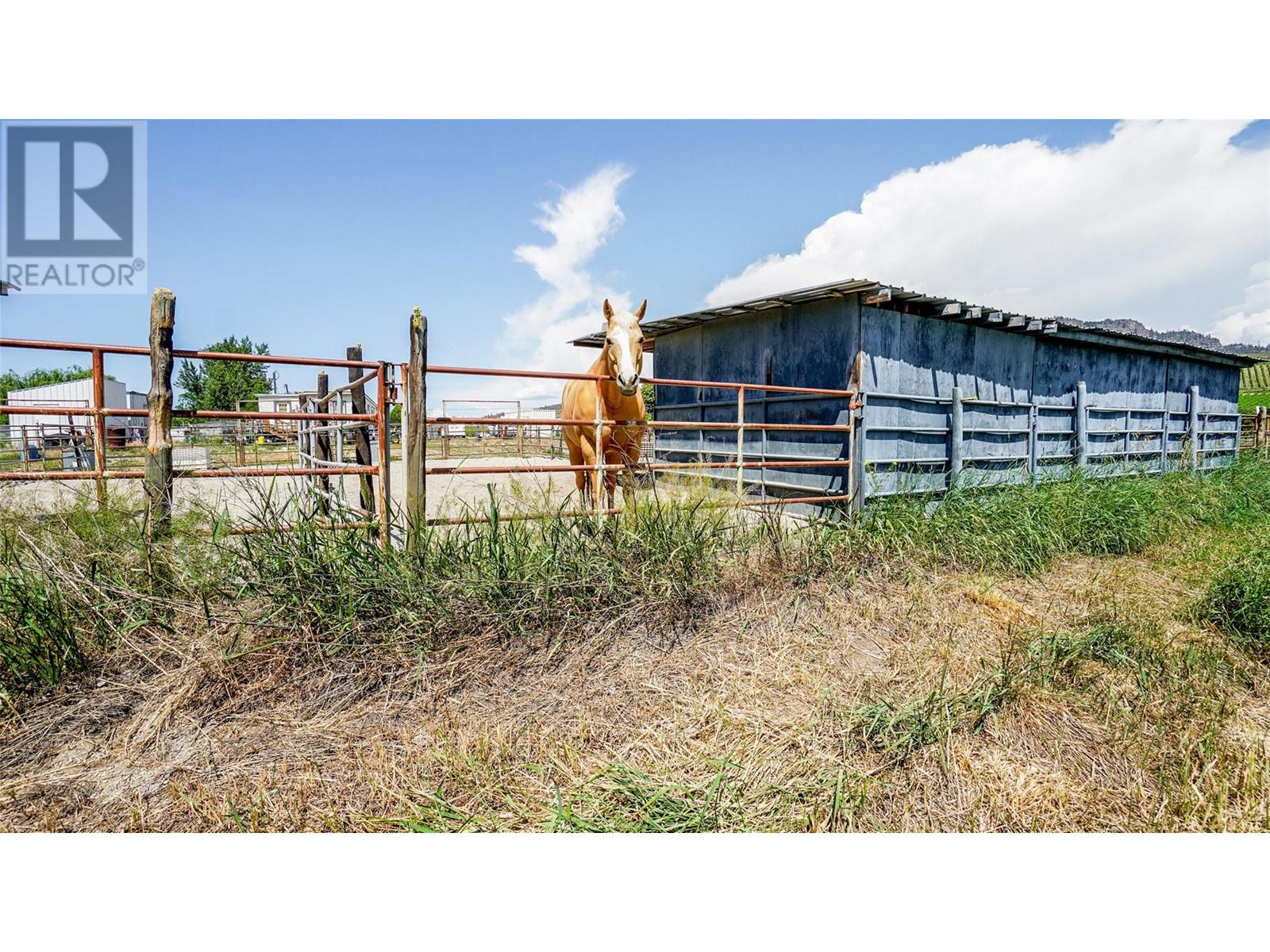 205 Greasewood Avenue, Oliver, British Columbia  V0H 1T1 - Photo 45 - 10342831