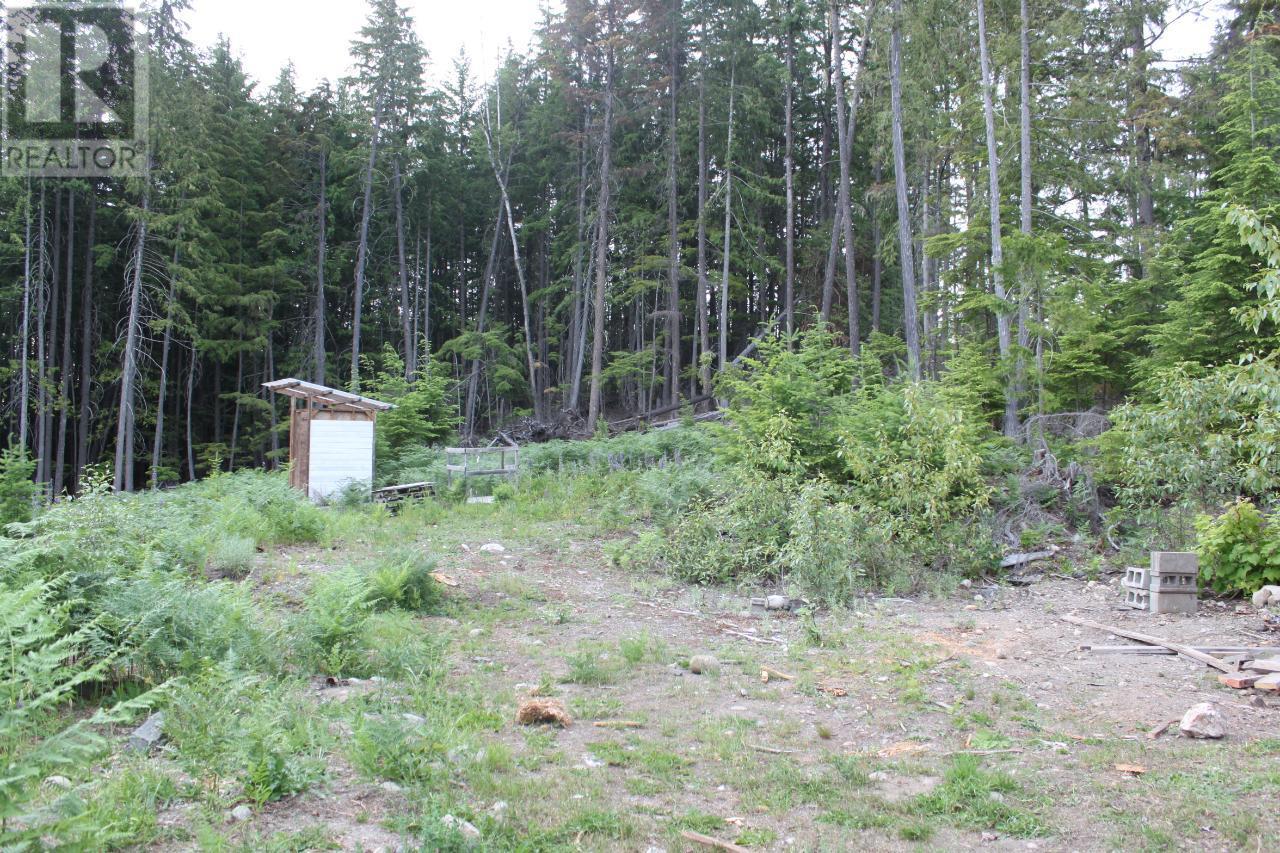 736 Bartley Road, Nakusp, British Columbia  V0G 1R1 - Photo 11 - 10343001