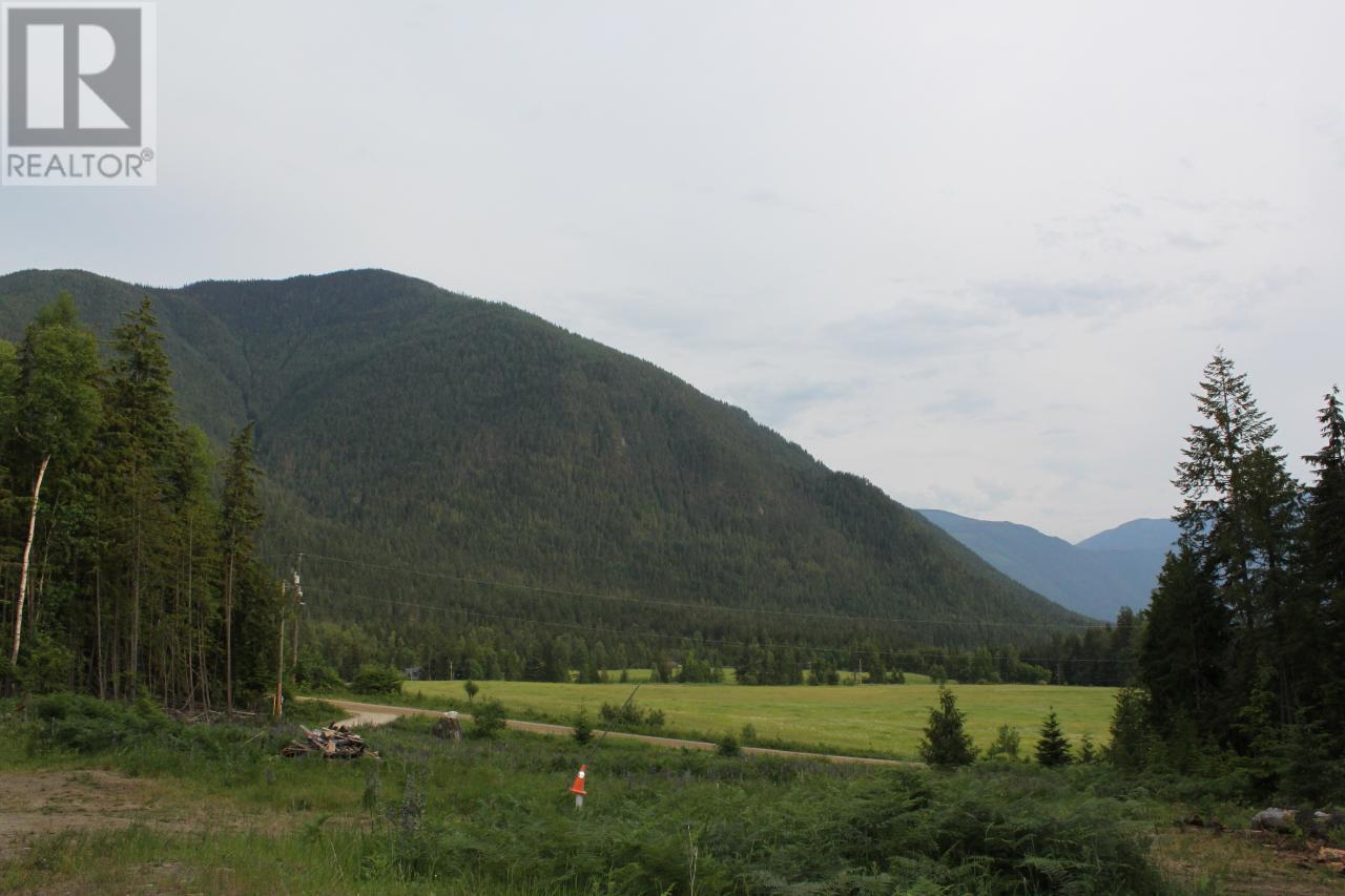 736 Bartley Road, Nakusp, British Columbia  V0G 1R1 - Photo 16 - 10343001