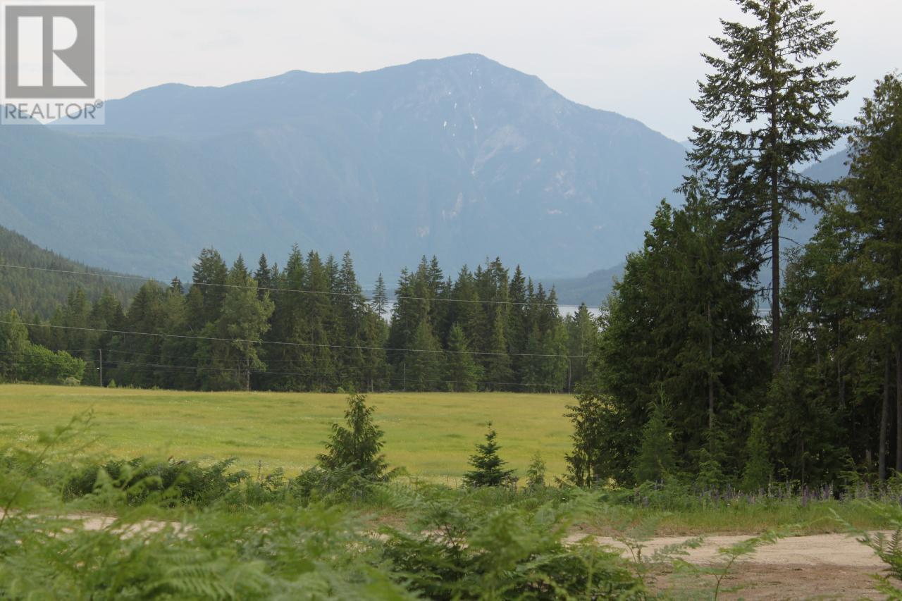 736 Bartley Road, Nakusp, British Columbia  V0G 1R1 - Photo 2 - 10343001