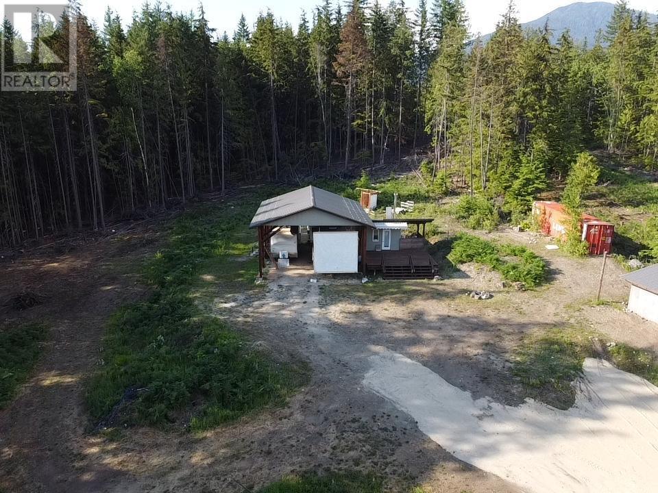 736 Bartley Road, Nakusp, British Columbia  V0G 1R1 - Photo 3 - 10343001