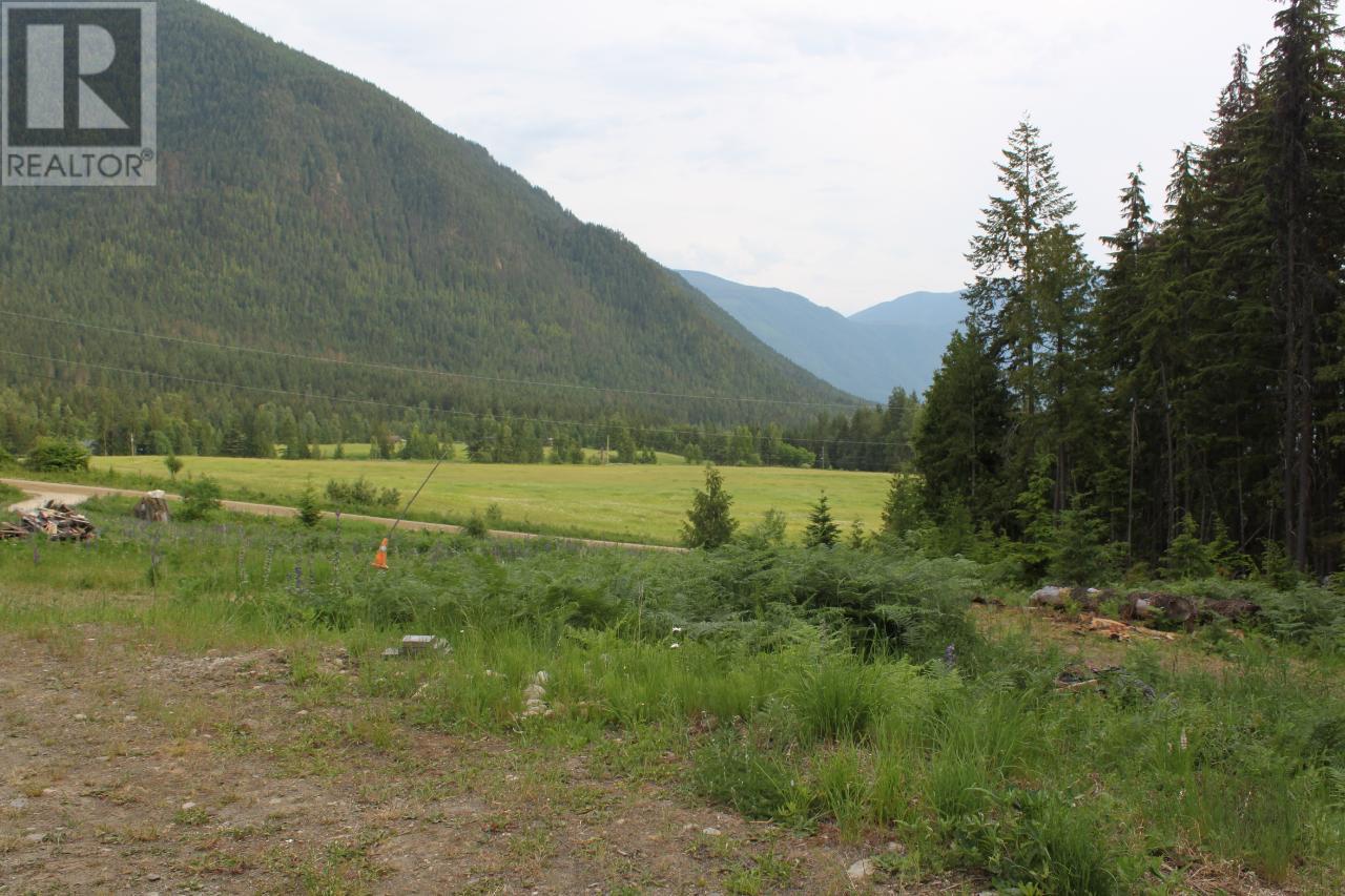 736 Bartley Road, Nakusp, British Columbia  V0G 1R1 - Photo 4 - 10343001