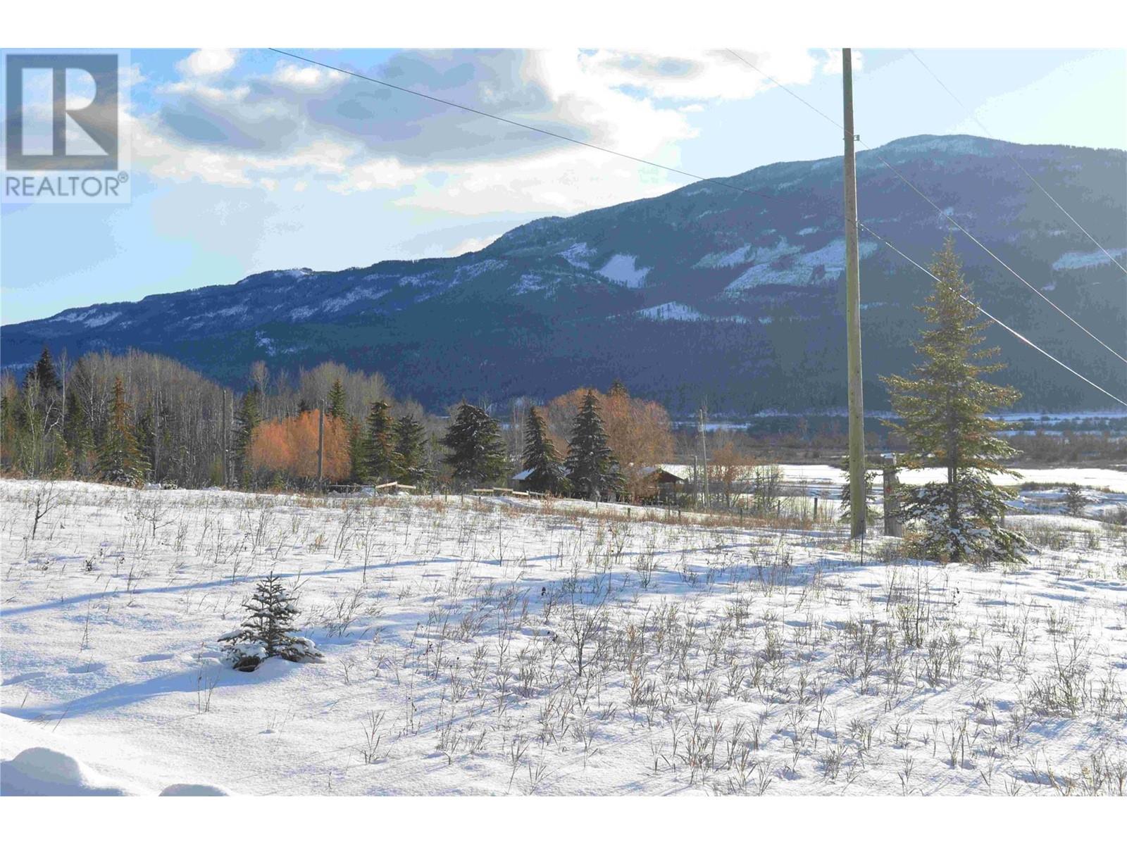 2755 95 Highway, Brisco, British Columbia  V0A 1B0 - Photo 35 - 10343197