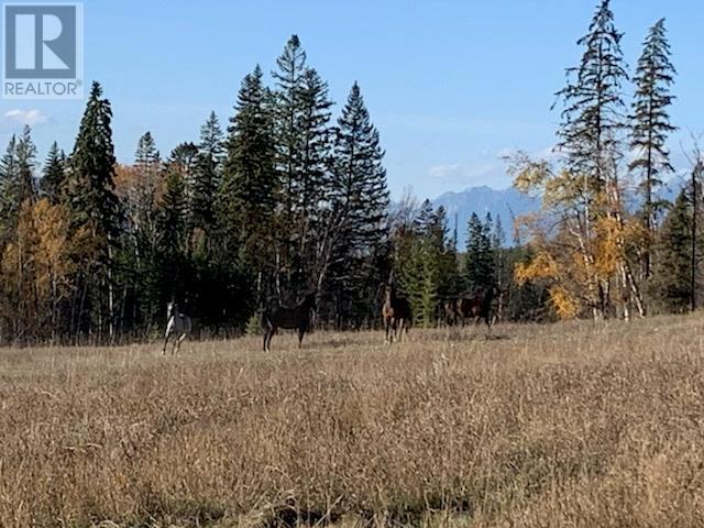 2755 95 Highway, Brisco, British Columbia  V0A 1B0 - Photo 37 - 10343197