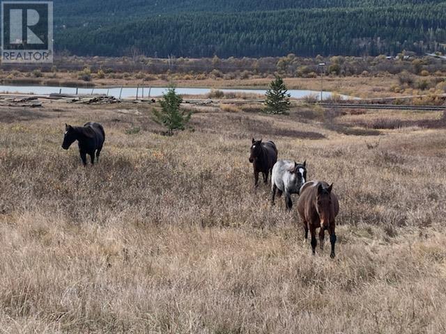 2755 95 Highway, Brisco, British Columbia  V0A 1B0 - Photo 38 - 10343197