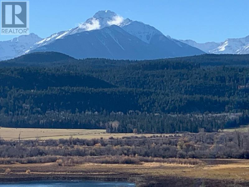 2755 95 Highway, Brisco, British Columbia  V0A 1B0 - Photo 39 - 10343197