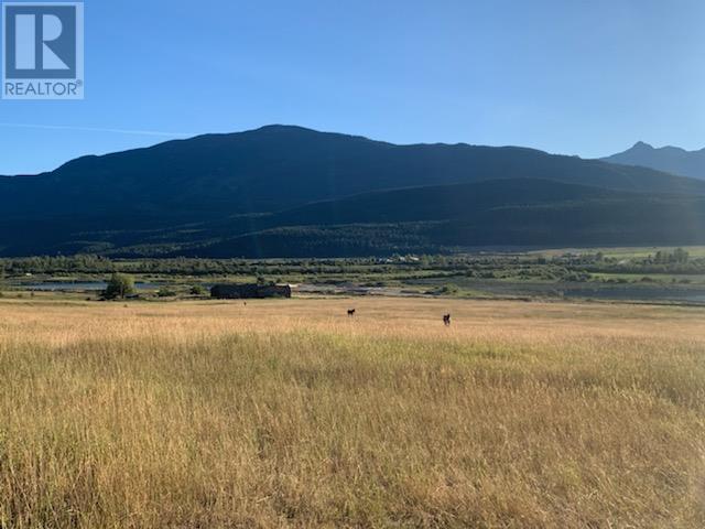 2755 95 Highway, Brisco, British Columbia  V0A 1B0 - Photo 40 - 10343197