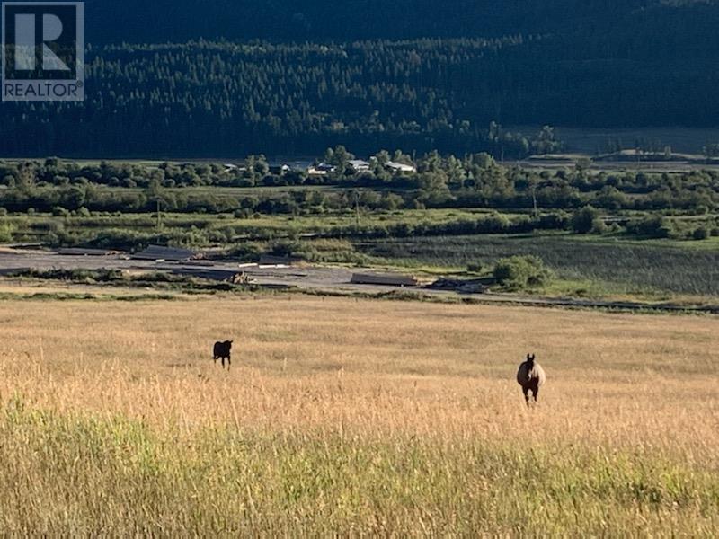 2755 95 Highway, Brisco, British Columbia  V0A 1B0 - Photo 41 - 10343197