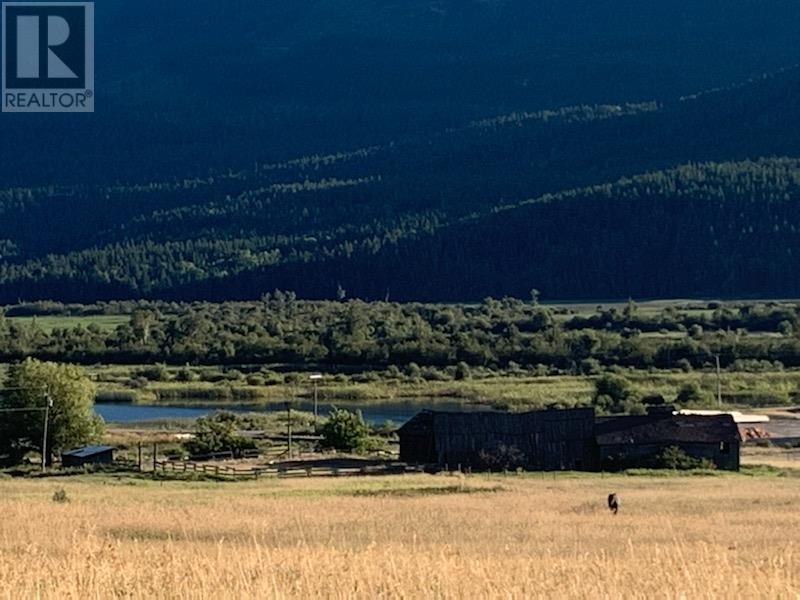 2755 95 Highway, Brisco, British Columbia  V0A 1B0 - Photo 42 - 10343197