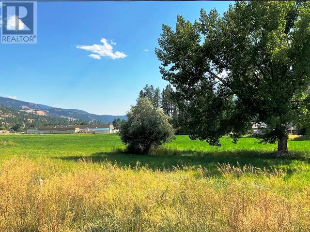 420 Ninth Avenue, Midway, British Columbia  V0H 1M0 - Photo 1 - 10343194