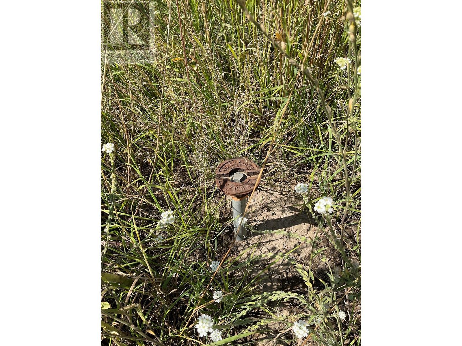 420 Ninth Avenue, Midway, British Columbia  V0H 1M0 - Photo 6 - 10343194