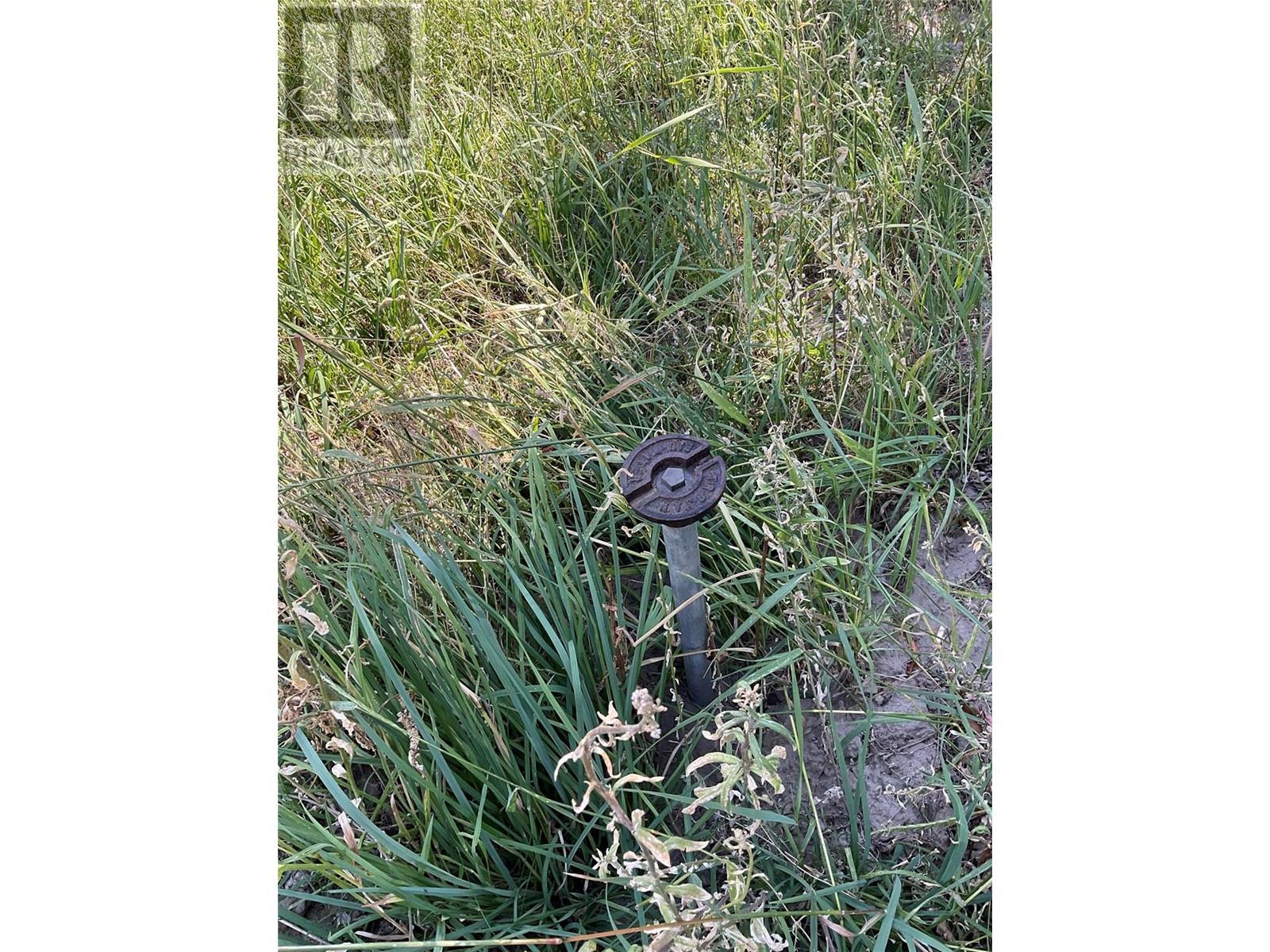 430 Ninth Avenue, Midway, British Columbia  V0H 1M0 - Photo 5 - 10343216