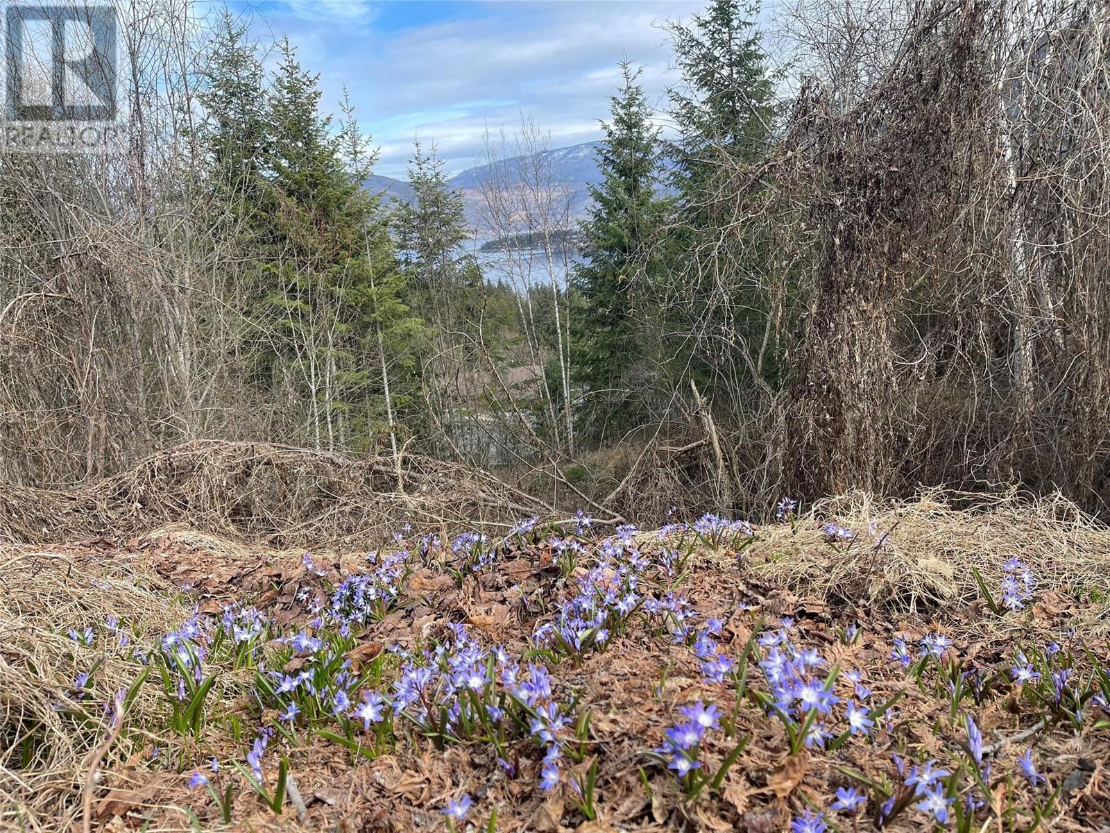 Lot 31 Summit Drive, Blind Bay, British Columbia  V0E 1H2 - Photo 2 - 10342601