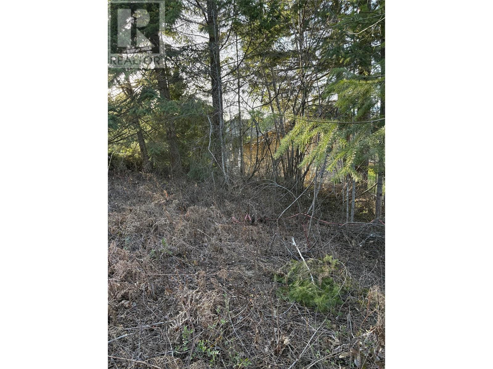 Lot 31 Summit Drive, Blind Bay, British Columbia  V0E 1H2 - Photo 4 - 10342601