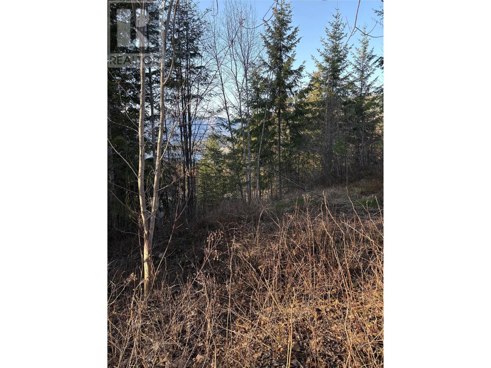 Lot 31 Summit Drive, Blind Bay, British Columbia  V0E 1H2 - Photo 5 - 10342601