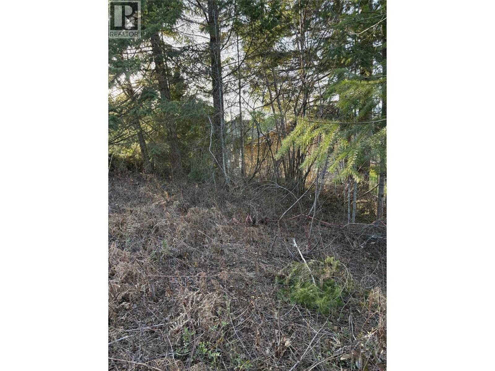 Lot 31 Summit Drive, Blind Bay, British Columbia  V0E 1H2 - Photo 7 - 10342601