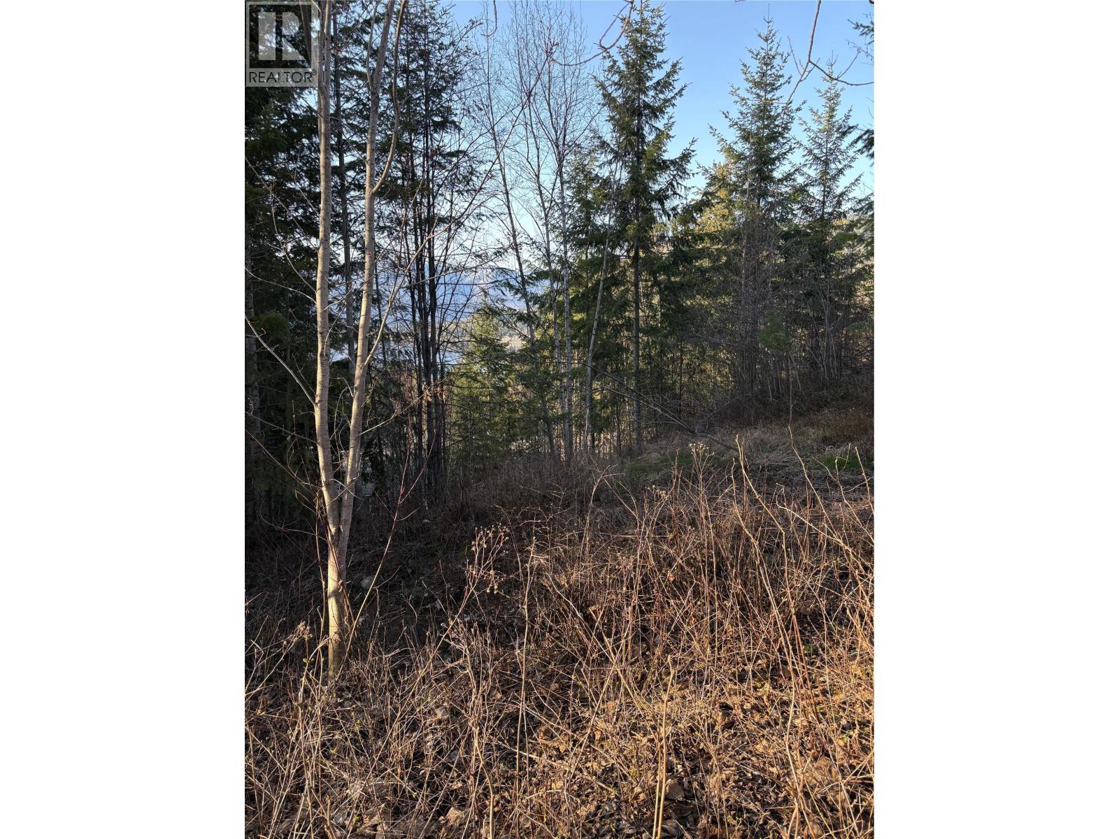 Lot 31 Summit Drive, Blind Bay, British Columbia  V0E 1H2 - Photo 8 - 10342601