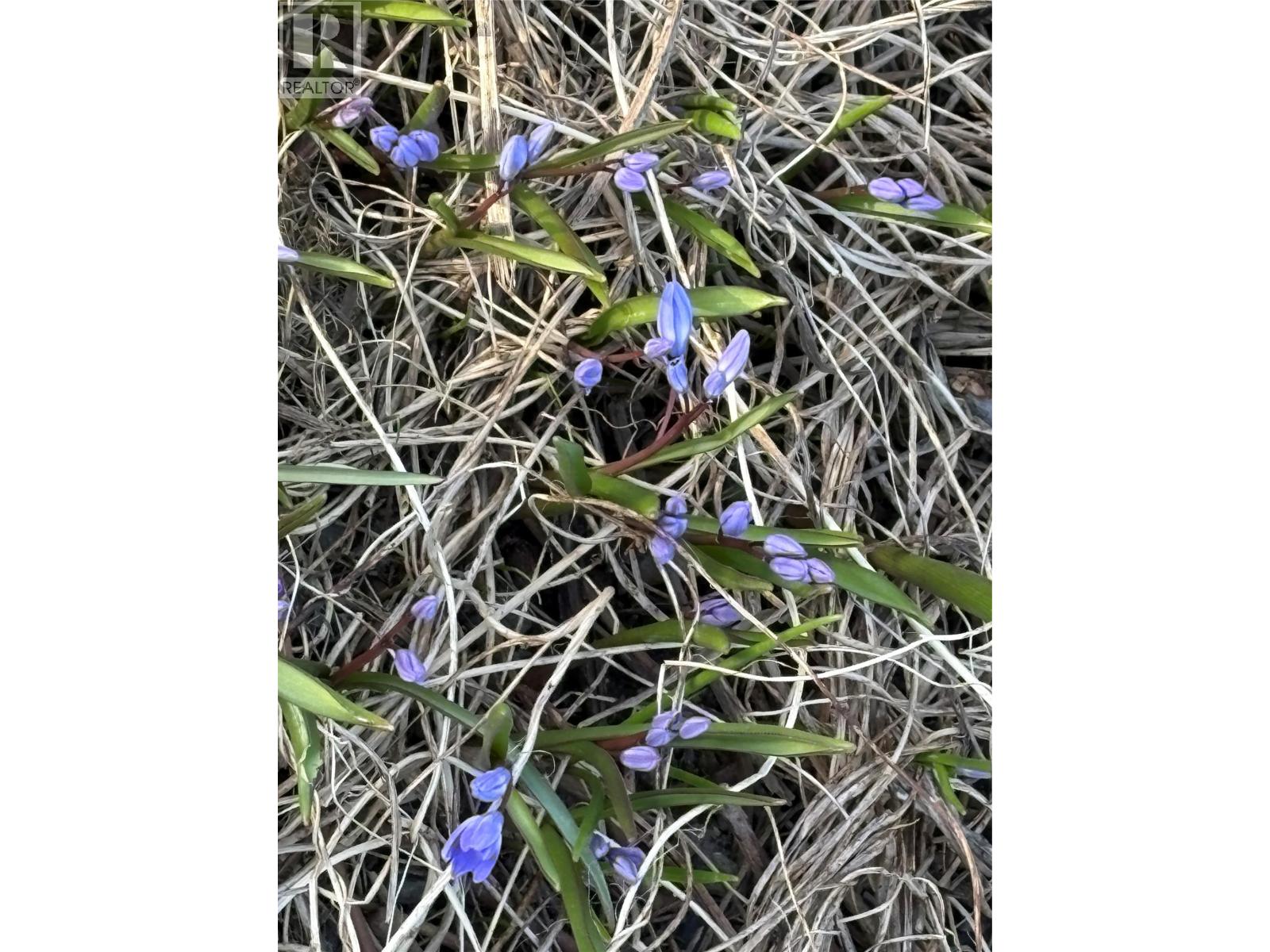 Lot 31 Summit Drive, Blind Bay, British Columbia  V0E 1H2 - Photo 9 - 10342601