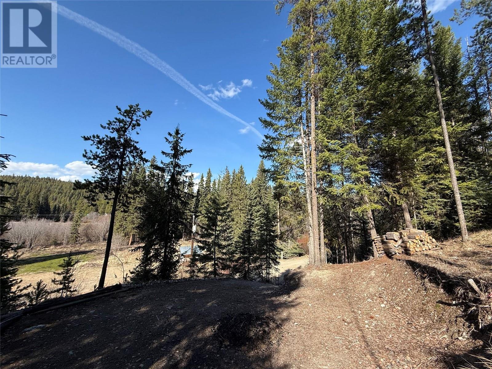 221 Link Lake Road, Princeton, British Columbia  V0X 1W0 - Photo 10 - 10343043