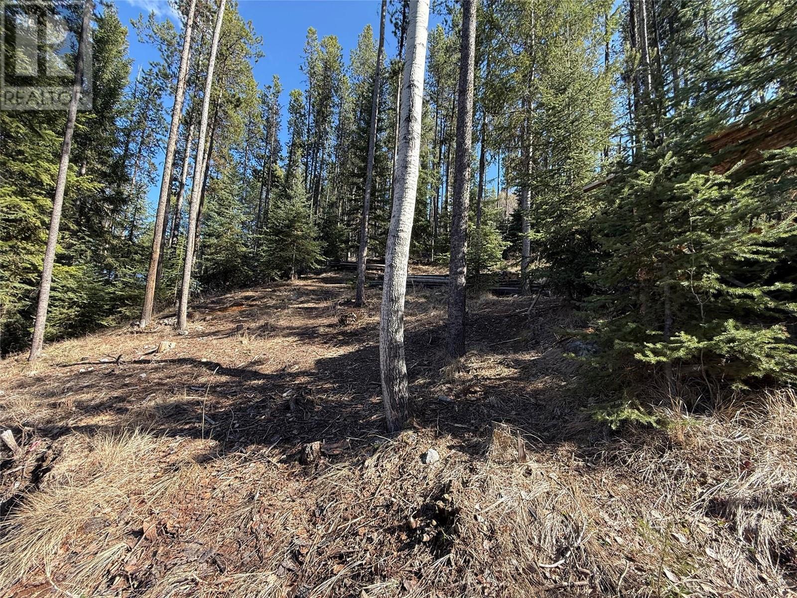221 Link Lake Road, Princeton, British Columbia  V0X 1W0 - Photo 11 - 10343043