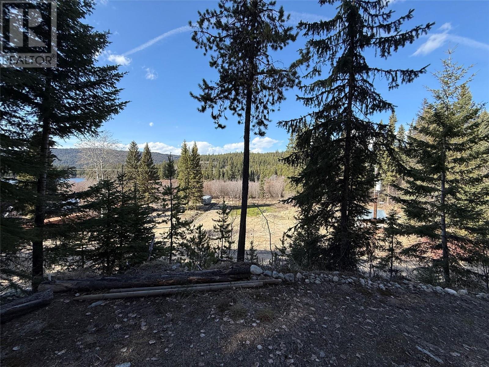 221 Link Lake Road, Princeton, British Columbia  V0X 1W0 - Photo 5 - 10343043