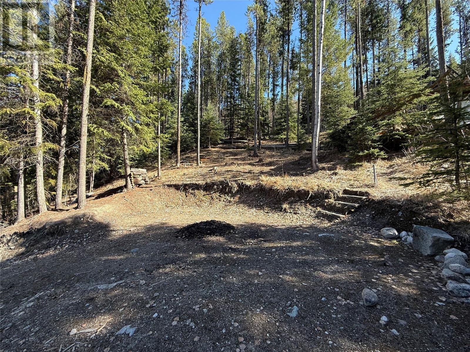 221 Link Lake Road, Princeton, British Columbia  V0X 1W0 - Photo 6 - 10343043