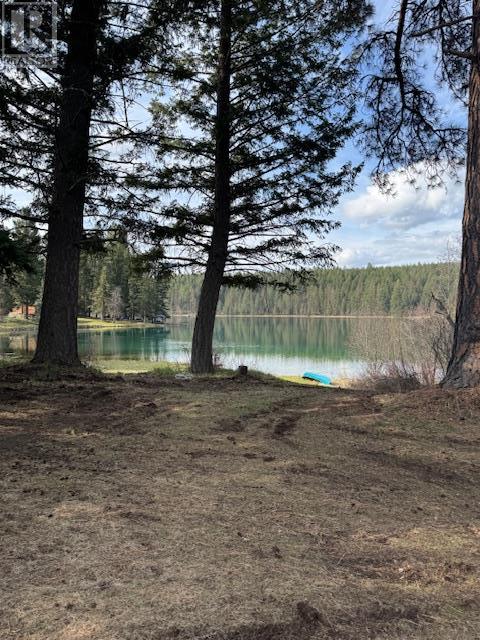 2325 Wardner Fort Steele Road, Fort Steele, British Columbia  V0B 1N0 - Photo 38 - 10343701