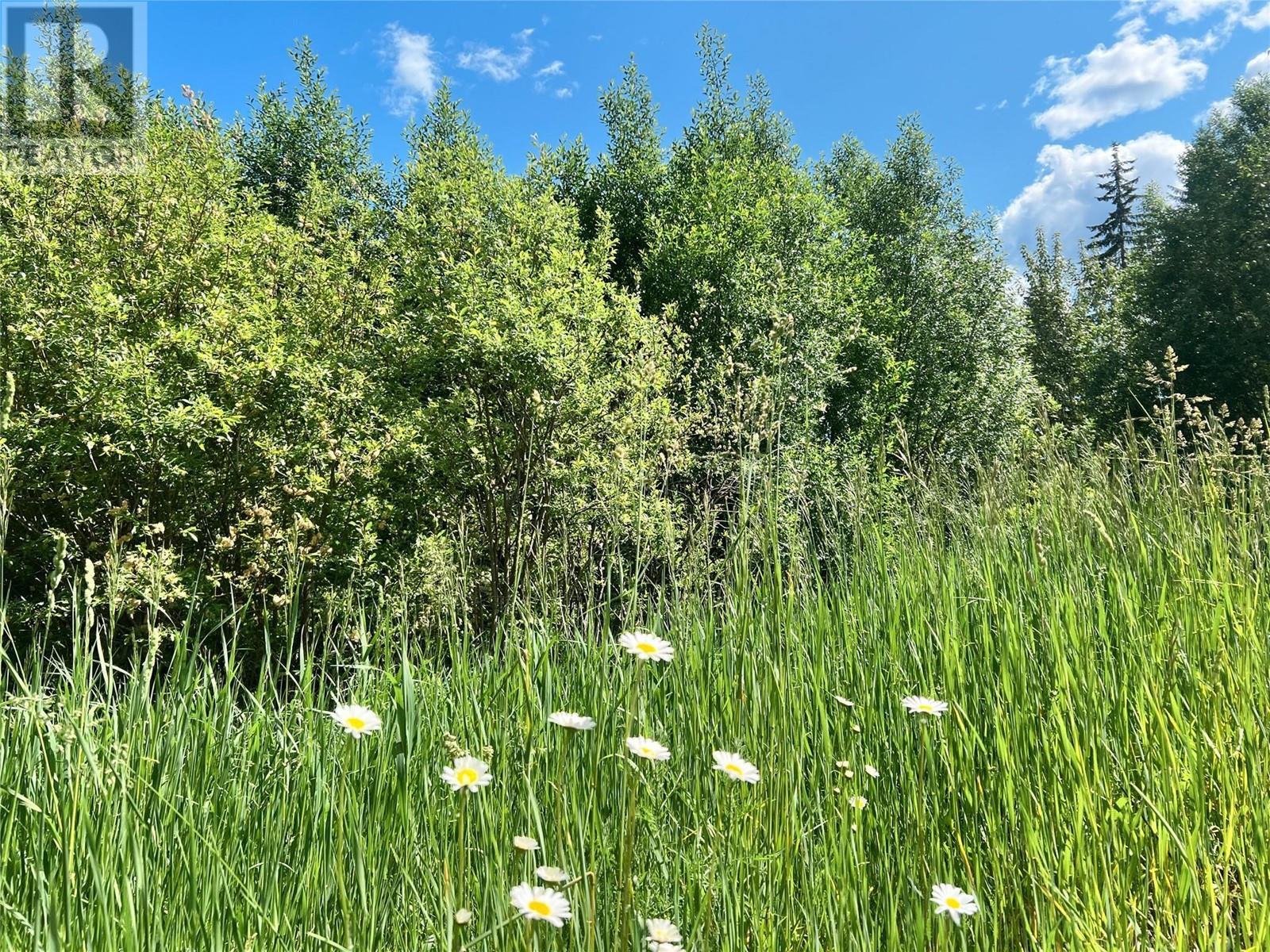 Parcel F Railway Avenue, Salmo, British Columbia  V0G 1Z0 - Photo 1 - 10343543