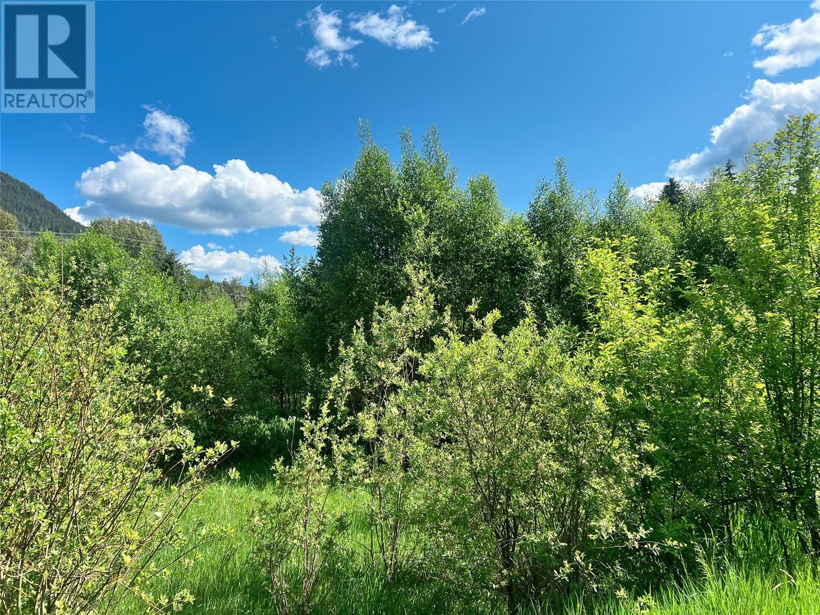 Parcel F Railway Avenue, Salmo, British Columbia  V0G 1Z0 - Photo 2 - 10343543