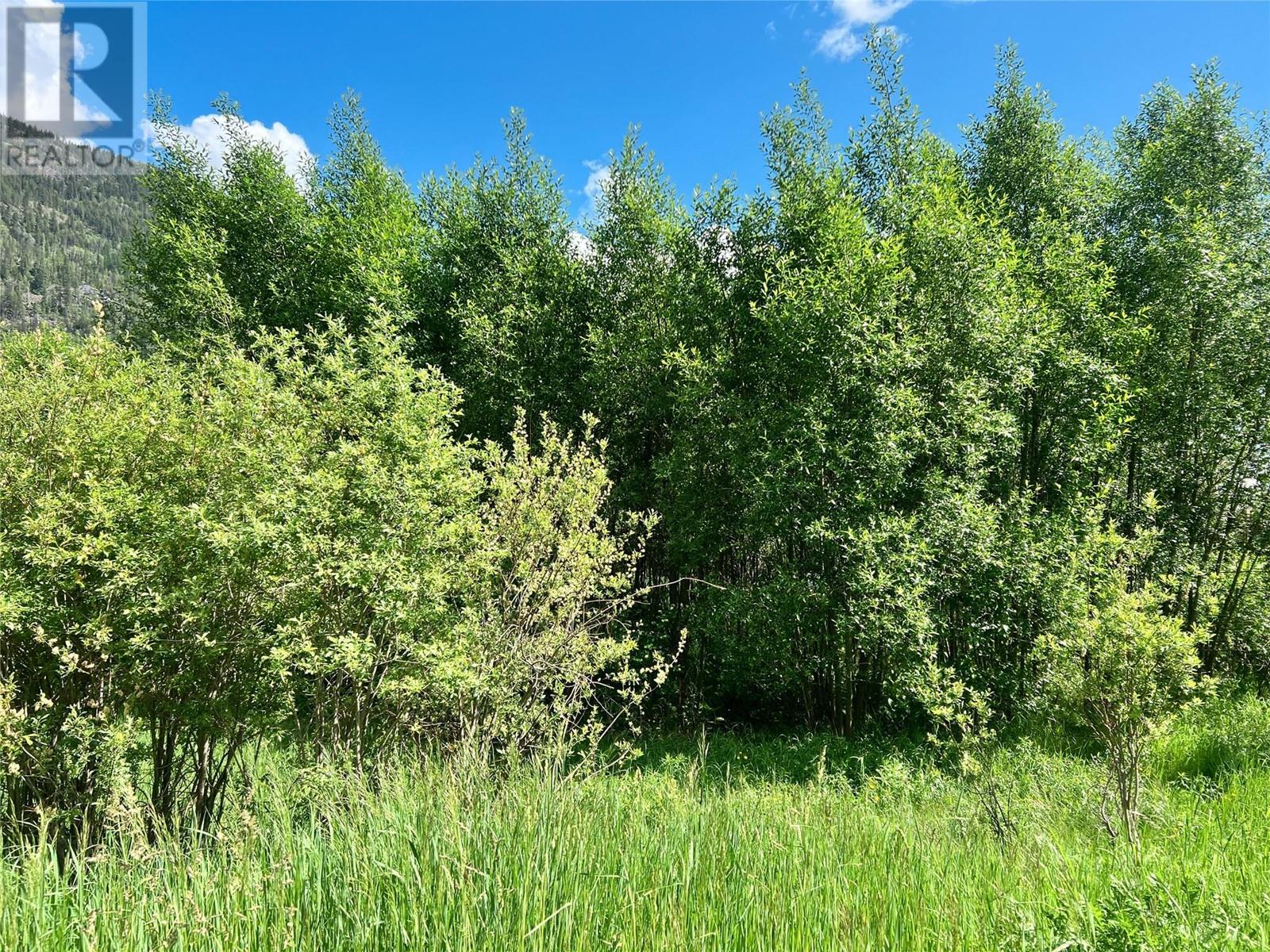 Parcel F Railway Avenue, Salmo, British Columbia  V0G 1Z0 - Photo 3 - 10343543