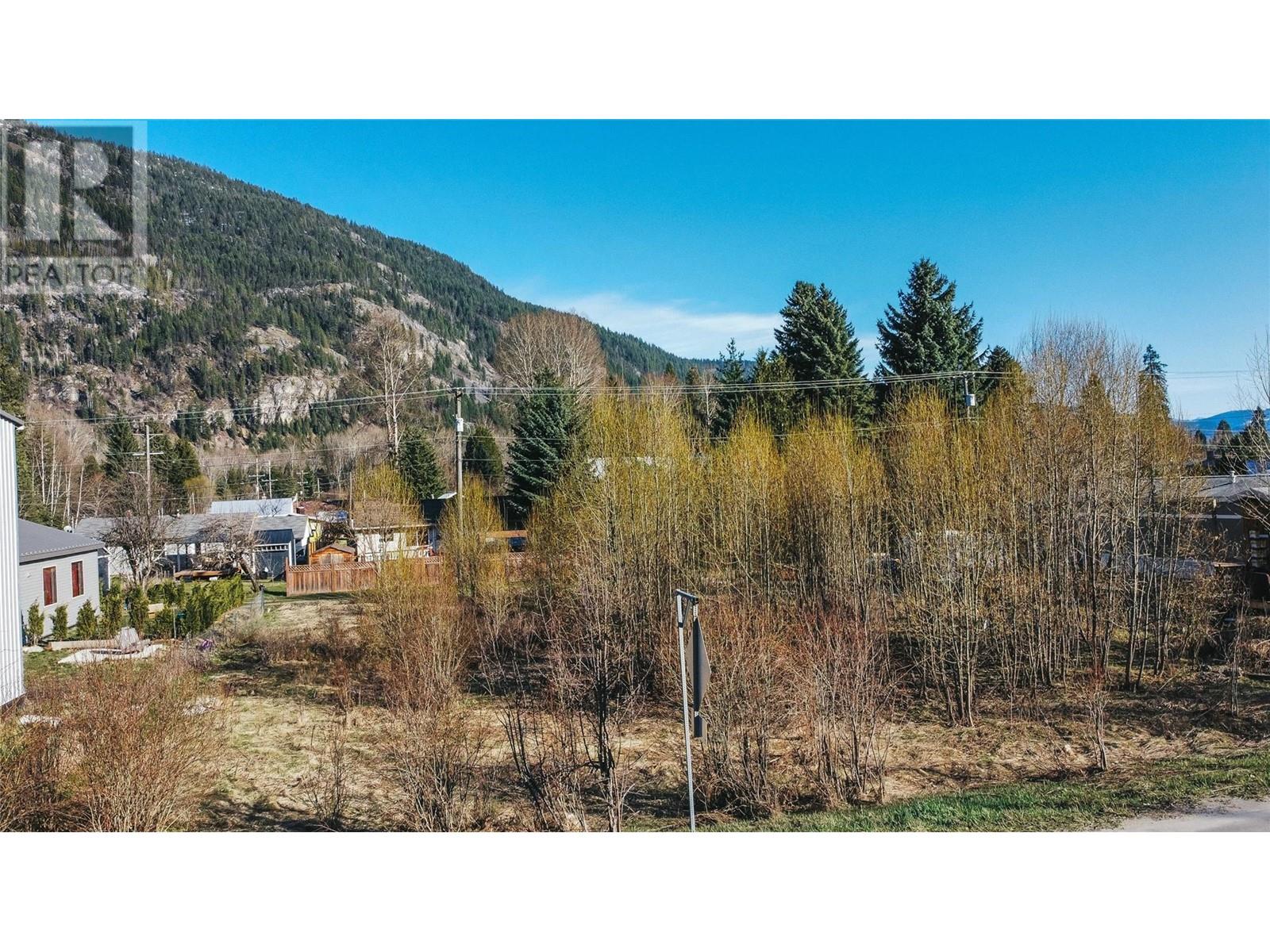 Parcel F Railway Avenue, Salmo, British Columbia  V0G 1Z0 - Photo 5 - 10343543