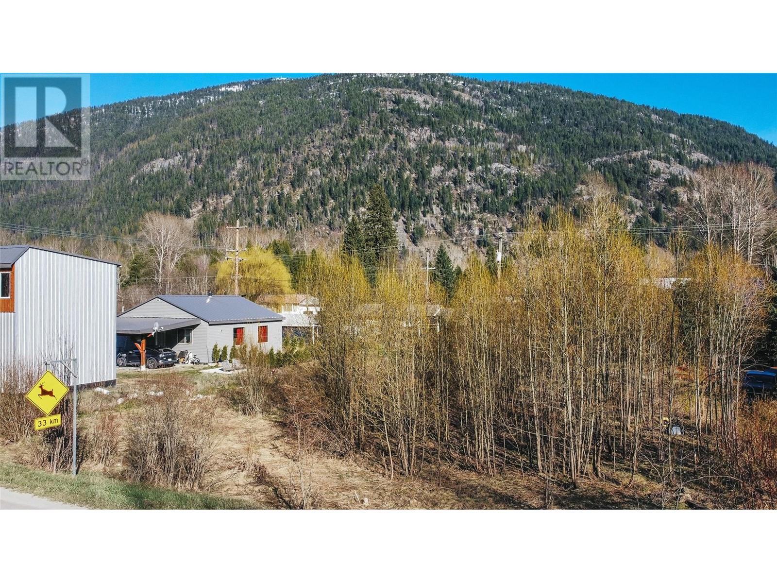 Parcel F Railway Avenue, Salmo, British Columbia  V0G 1Z0 - Photo 9 - 10343543