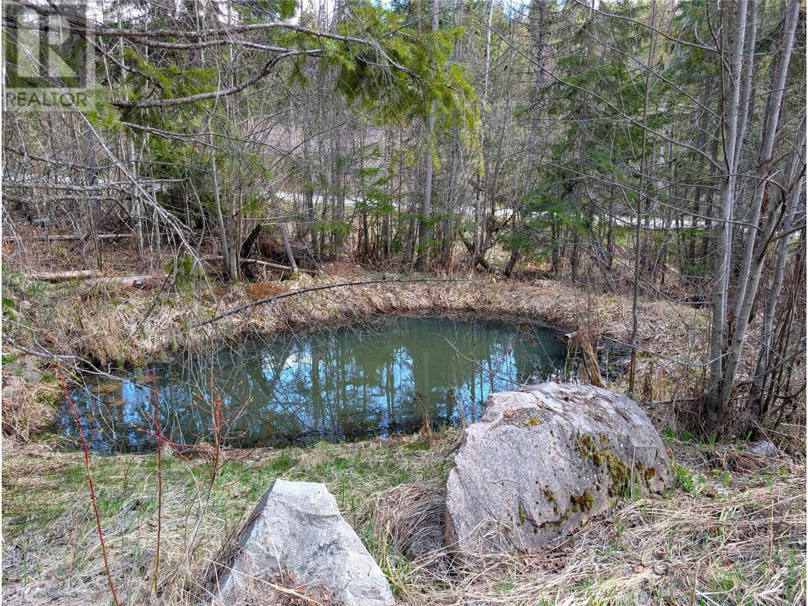 9300 6 Highway, Edgewood, British Columbia  V0G 1J0 - Photo 13 - 10343313