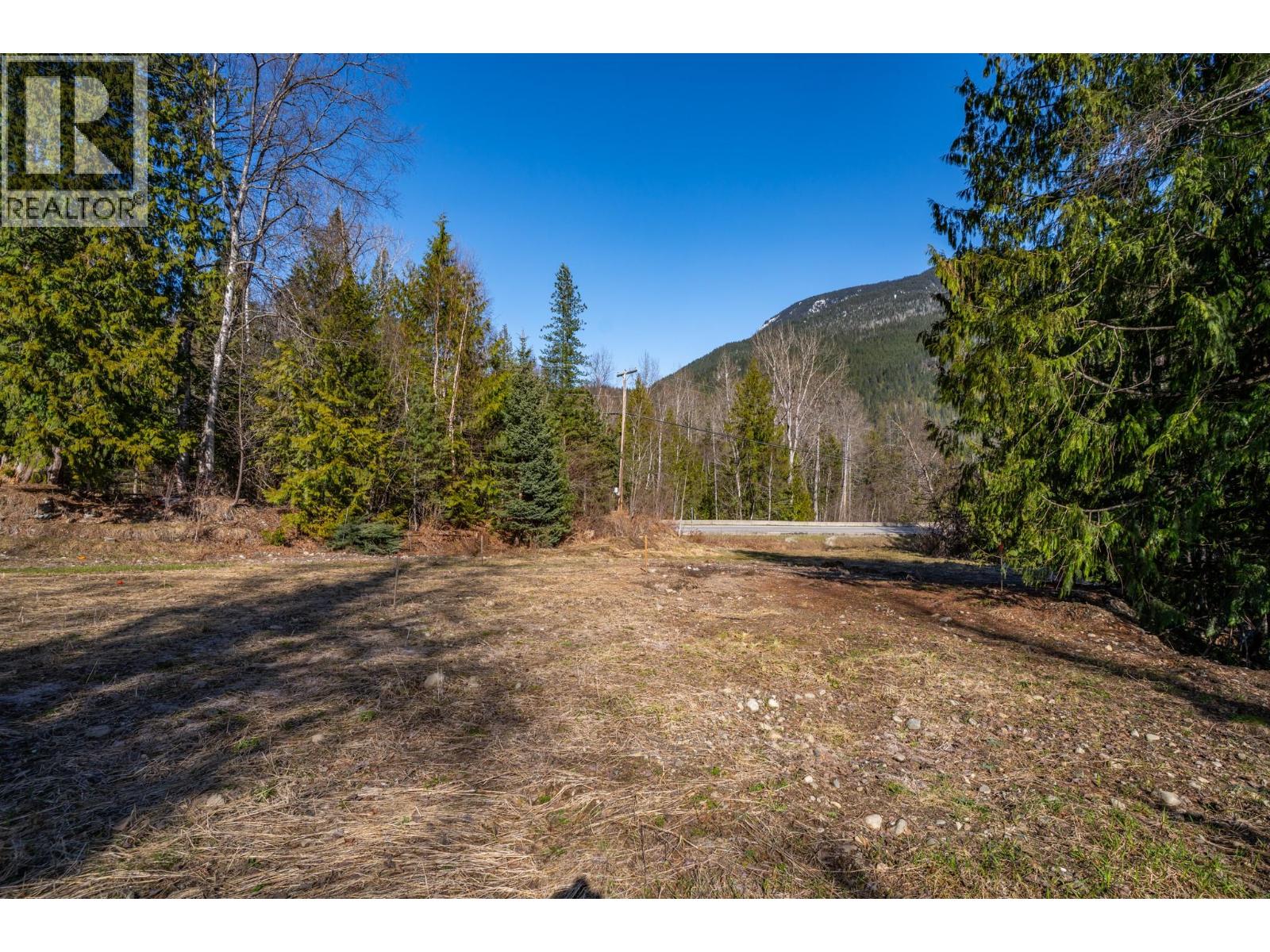 2323 Airport Way, Revelstoke, British Columbia  V0E 2S3 - Photo 4 - 10343517