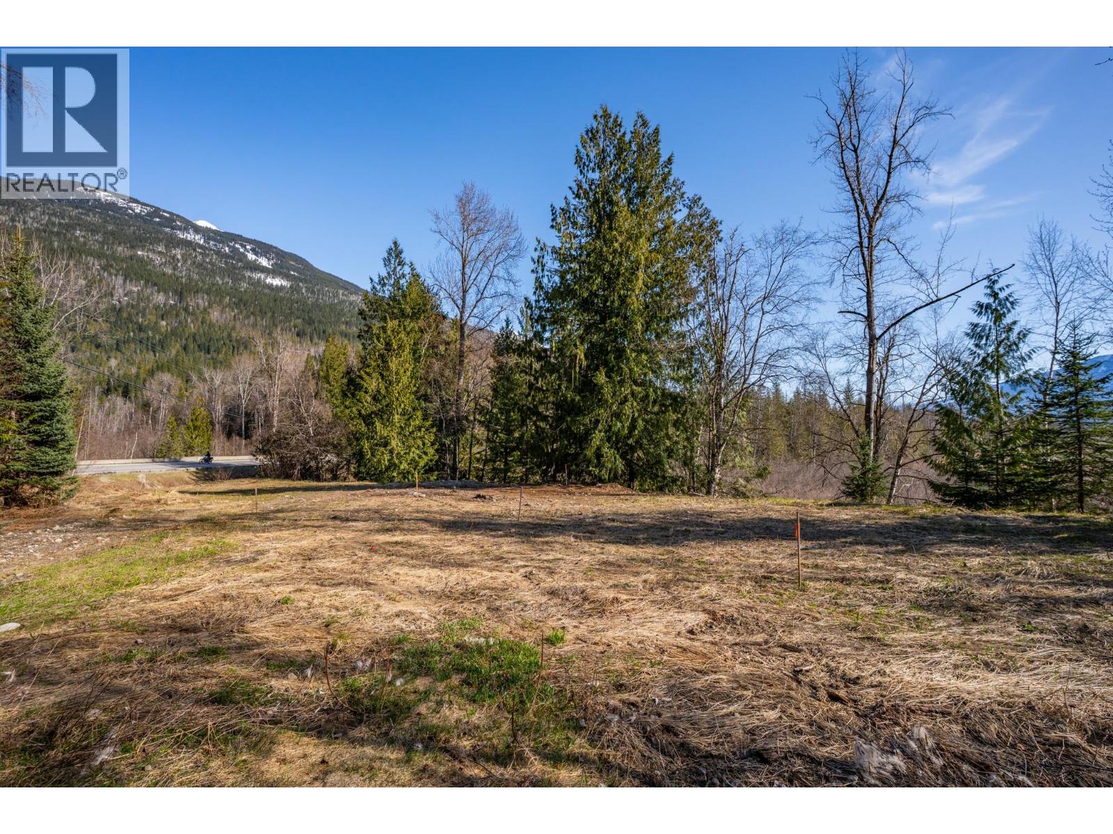 2323 Airport Way, Revelstoke, British Columbia  V0E 2S3 - Photo 5 - 10343517