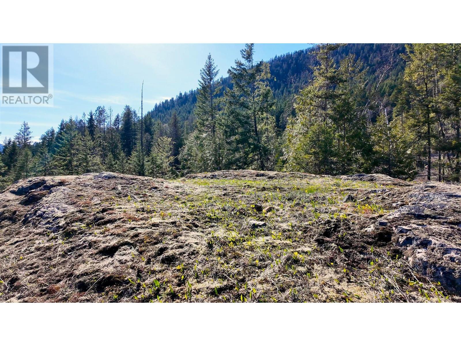 Dl 12488 Mckean Road, Appledale, British Columbia  V0G 2J0 - Photo 16 - 10344097